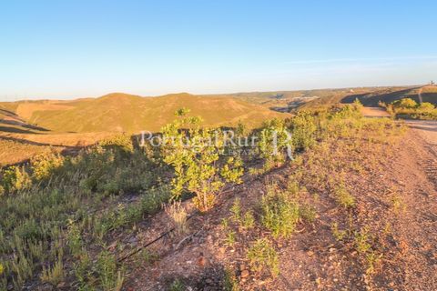 Landejendom i Silves, Faro, Silves - € 1.200.000 | Ref: JF48 - foto 24