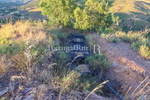 Landejendom i Silves, Faro, Silves - € 1.200.000 | Ref: JF48 - foto 25