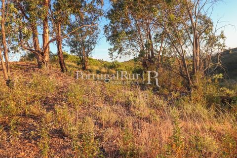 Landejendom i Silves, Faro, Silves - € 1.200.000 | Ref: JF48 - foto 26