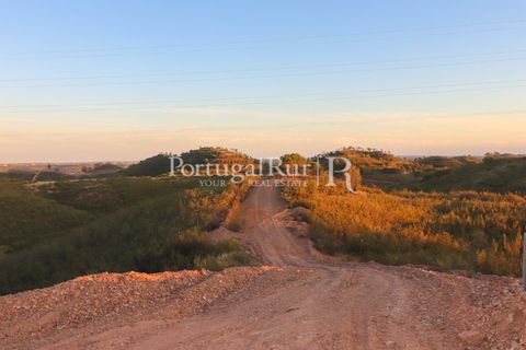 Landejendom i Silves, Faro, Silves - € 1.200.000 | Ref: JF48 - foto 27