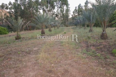 Landejendom i Silves, Faro, Silves - € 1.200.000 | Ref: JF48 - foto 28
