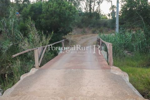 Landejendom i Silves, Faro, Silves - € 1.200.000 | Ref: JF48 - foto 29