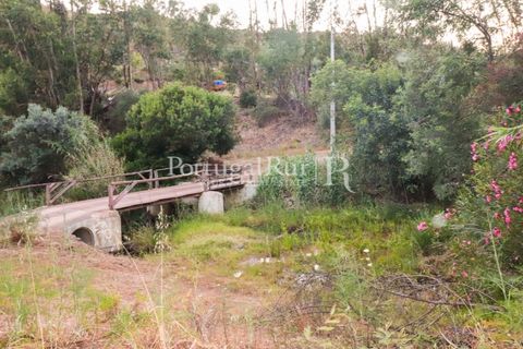 Landejendom i Silves, Faro, Silves - € 1.200.000 | Ref: JF48 - foto 30