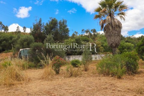 Landejendom i Silves, Faro, Silves - € 1.200.000 | Ref: JF48 - foto 31