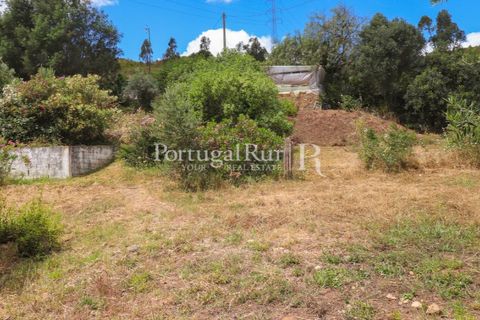 Landejendom i Silves, Faro, Silves - € 1.200.000 | Ref: JF48 - foto 32