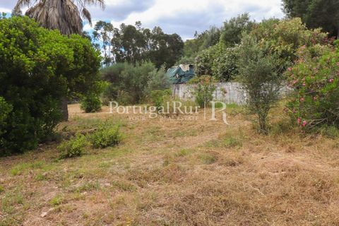 Landejendom i Silves, Faro, Silves - € 1.200.000 | Ref: JF48 - foto 33