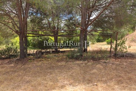 Landejendom i Silves, Faro, Silves - € 1.200.000 | Ref: JF48 - foto 34