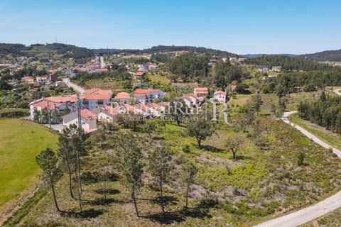 Helårsgrund i Proenca-a-Nova, Castelo Branco, Proenca-a-Nova - € 175.000 | Ref: FG1117 - foto 2