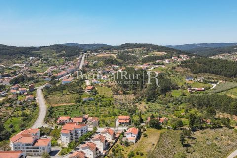 Helårsgrund i Proenca-a-Nova, Castelo Branco, Proenca-a-Nova - € 175.000 | Ref: FG1117 - foto 4