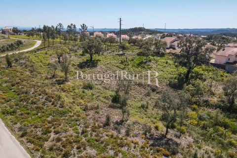 Helårsgrund i Proenca-a-Nova, Castelo Branco, Proenca-a-Nova - € 175.000 | Ref: FG1117 - foto 5