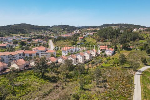 Helårsgrund i Proenca-a-Nova, Castelo Branco, Proenca-a-Nova - € 175.000 | Ref: FG1117 - foto 6
