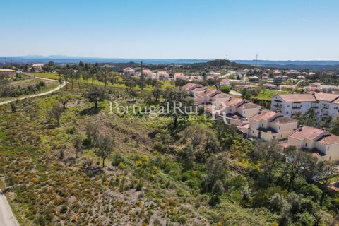 Helårsgrund i Proenca-a-Nova, Castelo Branco, Proenca-a-Nova - € 175.000 | Ref: FG1117 - foto 7