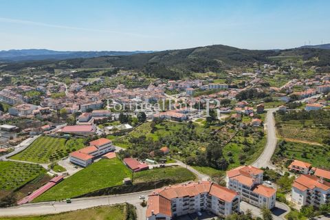 Helårsgrund i Proenca-a-Nova, Castelo Branco, Proenca-a-Nova - € 175.000 | Ref: FG1117 - foto 8