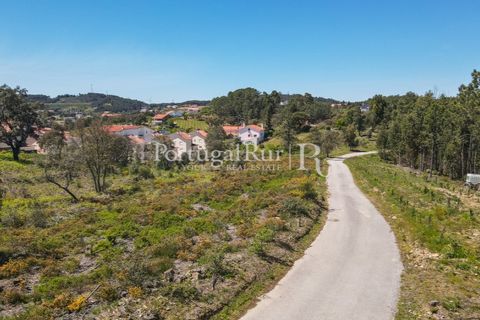 Helårsgrund i Proenca-a-Nova, Castelo Branco, Proenca-a-Nova - € 175.000 | Ref: FG1117 - foto 9