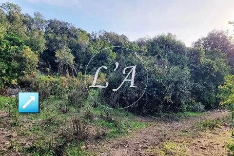 Tomt i Coti-Chiavari, Corse-du-Sud, Coti-Chiavari - € 81 750 | Ref: POZM000868OLI - foto 3