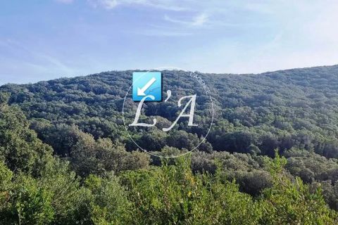 Tomt i Coti-Chiavari, Corse-du-Sud, Coti-Chiavari - € 81 750 | Ref: POZM000868OLI - foto 4