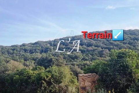 Tomt i Coti-Chiavari, Corse-du-Sud, Coti-Chiavari - € 81 750 | Ref: POZM000868OLI - foto 5