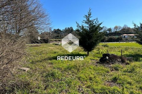 Helårsgrund i Ponte de Lima, Viana do Castelo, Ponte de Lima - € 34.000 | Ref: RU01-40157 - foto 5