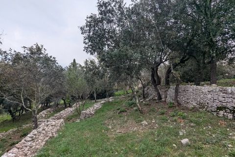 Villa i Carcès, Var, Carcès - € 520.000 | Ref: 3545 - foto 2