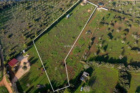 Helårsgrund i Lagos, Faro, Lagos - € 295.000 | Ref: RC282 - foto 5
