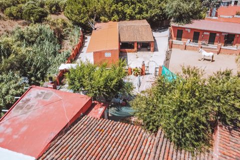 Villa i Mijas Costa, Malaga, Mijas Costa - € 900.000 | Ref: 428-03636E - foto 40