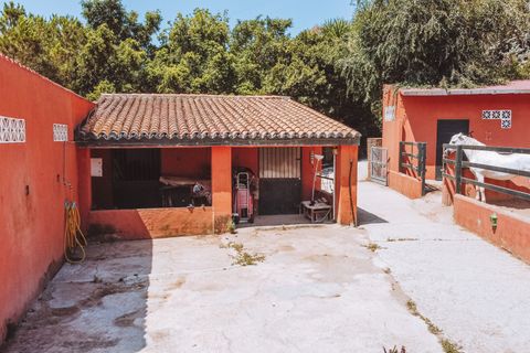 Villa i Mijas Costa, Malaga, Mijas Costa - € 900.000 | Ref: 428-03636E - foto 43