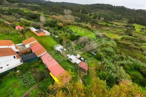 Helårsgrund i Coimbra, Coimbra, Coimbra - € 37.500 | Ref: CBRAC 5701 - foto 3