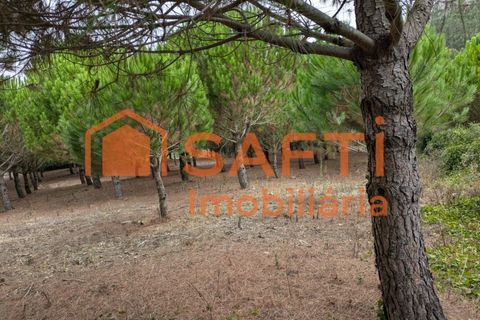 Helårsgrund i Cadaval, Lisbon, Cadaval - € 152.000 | Ref: SAFTI:007312 - foto 2