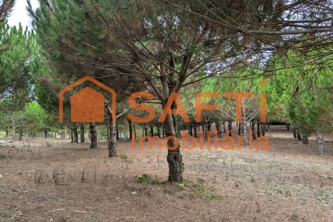 Helårsgrund i Cadaval, Lisbon, Cadaval - € 152.000 | Ref: SAFTI:007312 - foto 3