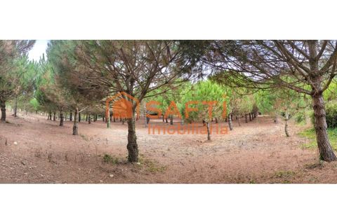 Helårsgrund i Cadaval, Lisbon, Cadaval - € 152.000 | Ref: SAFTI:007312 - foto 4
