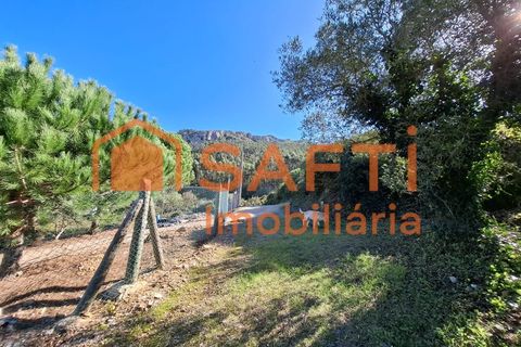 Helårsgrund i Cadaval, Lisbon, Cadaval - € 152.000 | Ref: SAFTI:007312 - foto 10