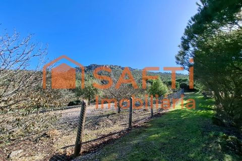 Helårsgrund i Cadaval, Lisbon, Cadaval - € 152.000 | Ref: SAFTI:007312 - foto 11