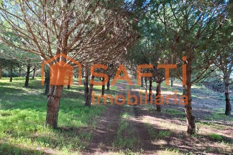 Helårsgrund i Cadaval, Lisbon, Cadaval - € 152.000 | Ref: SAFTI:007312 - foto 17