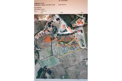 Helårsgrund i Cadaval, Lisbon, Cadaval - € 152.000 | Ref: SAFTI:007312 - foto 18