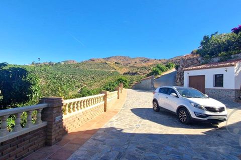 Landejendom i Velez Malaga, Malaga, Velez Malaga - € 695.000 | Ref: XL4448 - foto 25