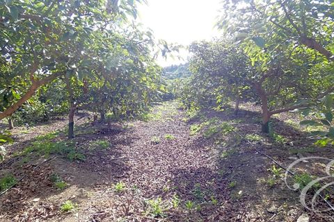 Landejendom i Velez Malaga, Malaga, Velez Malaga - € 700.000 | Ref: XL4324 - foto 2