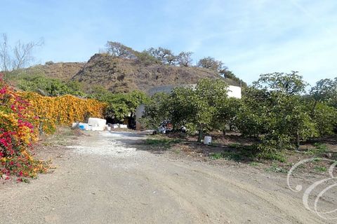 Landejendom i Velez Malaga, Malaga, Velez Malaga - € 700.000 | Ref: XL4324 - foto 4