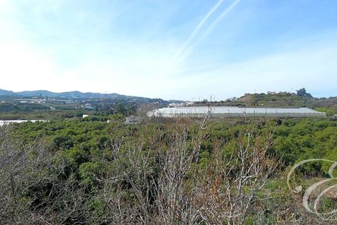 Landejendom i Velez Malaga, Malaga, Velez Malaga - € 700.000 | Ref: XL4324 - foto 11