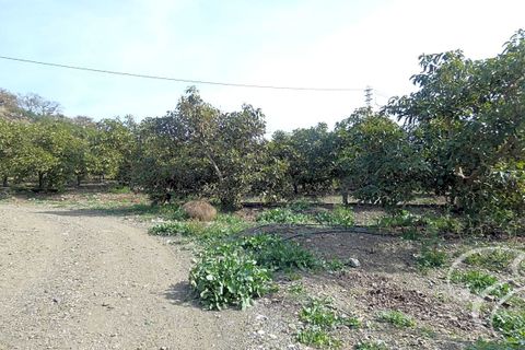 Landejendom i Velez Malaga, Malaga, Velez Malaga - € 700.000 | Ref: XL4324 - foto 13