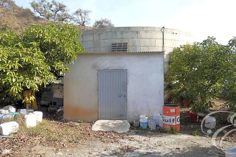 Landejendom i Velez Malaga, Malaga, Velez Malaga - € 700.000 | Ref: XL4324 - foto 14