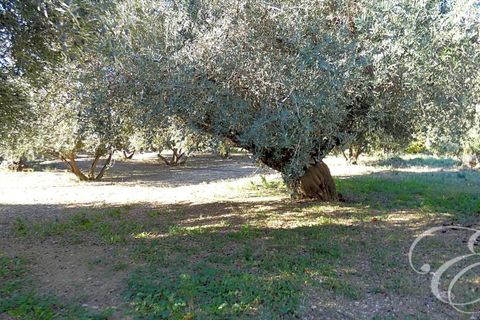 Landejendom i Periana, Malaga, Periana - € 170.000 | Ref: XL4253 - foto 10