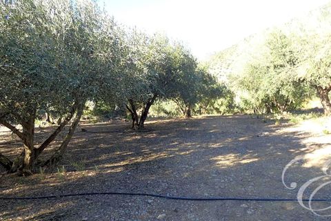 Landejendom i Periana, Malaga, Periana - € 170.000 | Ref: XL4253 - foto 11