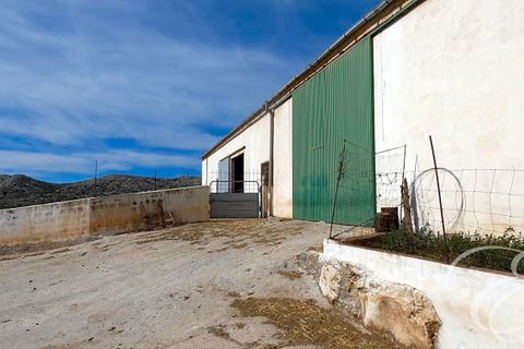 Masia a Zafarraya, Granada, Zafarraya - € 360.000 | Ref: XL4071 - foto 10