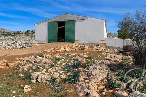 Masia a Zafarraya, Granada, Zafarraya - € 360.000 | Ref: XL4071 - foto 19