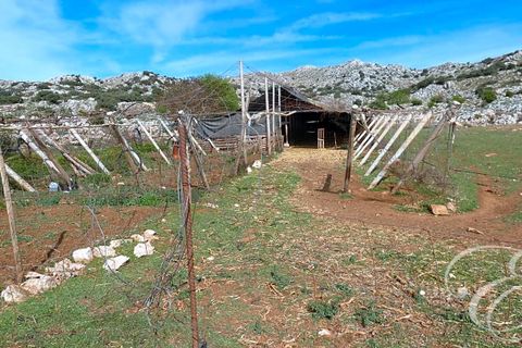 Masia a Zafarraya, Granada, Zafarraya - € 360.000 | Ref: XL4071 - foto 20