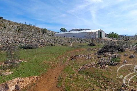 Masia a Zafarraya, Granada, Zafarraya - € 360.000 | Ref: XL4071 - foto 21