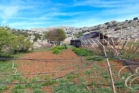 Masia a Zafarraya, Granada, Zafarraya - € 360.000 | Ref: XL4071 - foto 22