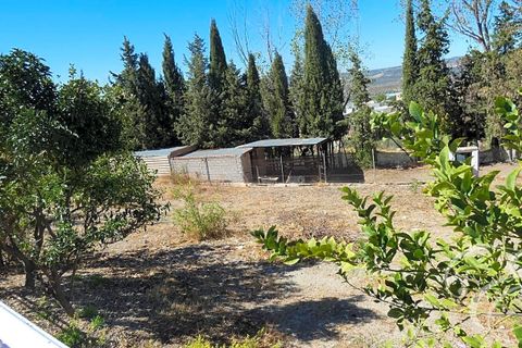 Villa en Rute, Cordoba, Rute - € 325.000 | Ref: XL3905 - photo 12