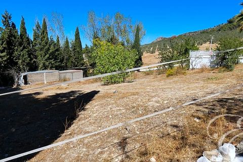 Villa en Rute, Cordoba, Rute - € 325.000 | Ref: XL3905 - photo 17