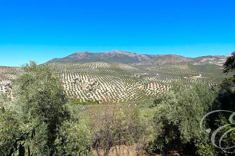 Villa a Rute, Cordoba, Rute - € 650.000 | Ref: XL3903 - foto 15